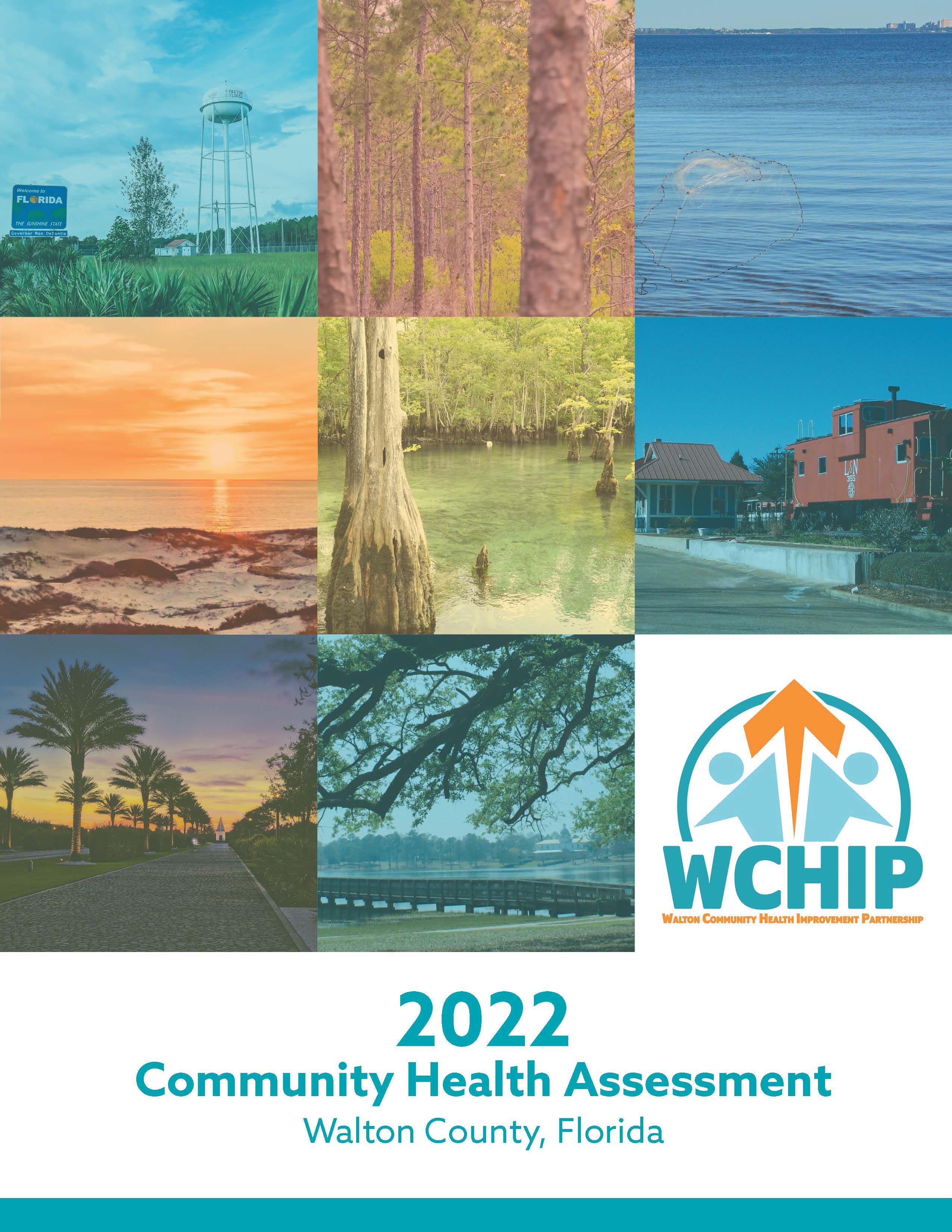 Community Health Assessment and Community Health Improvement Plan 